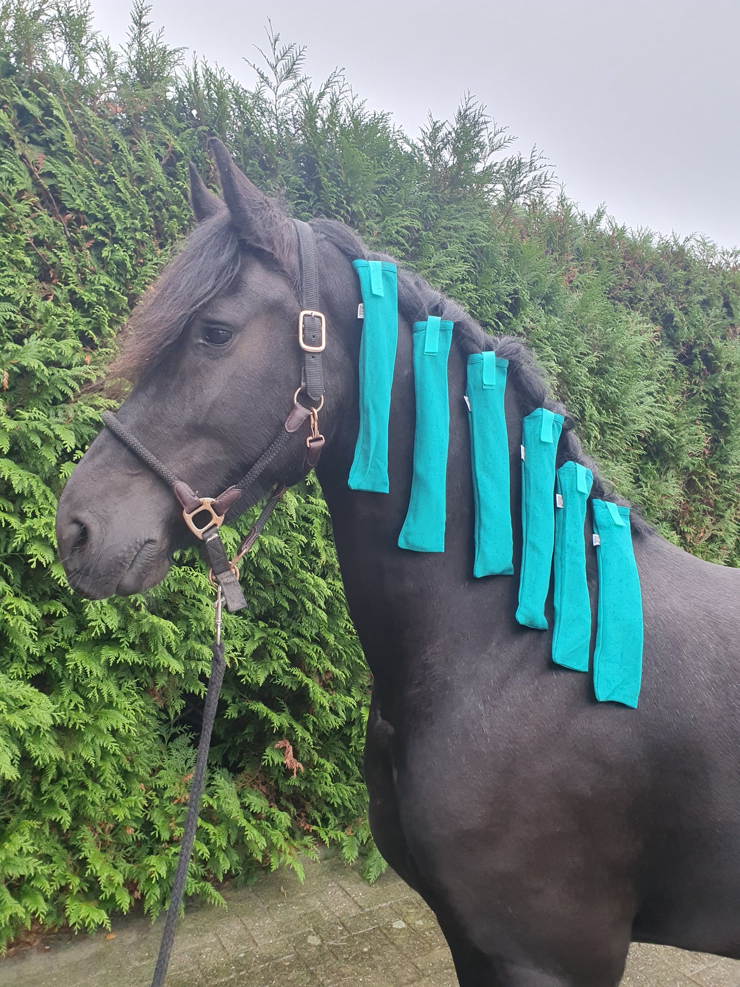Mane protector bag