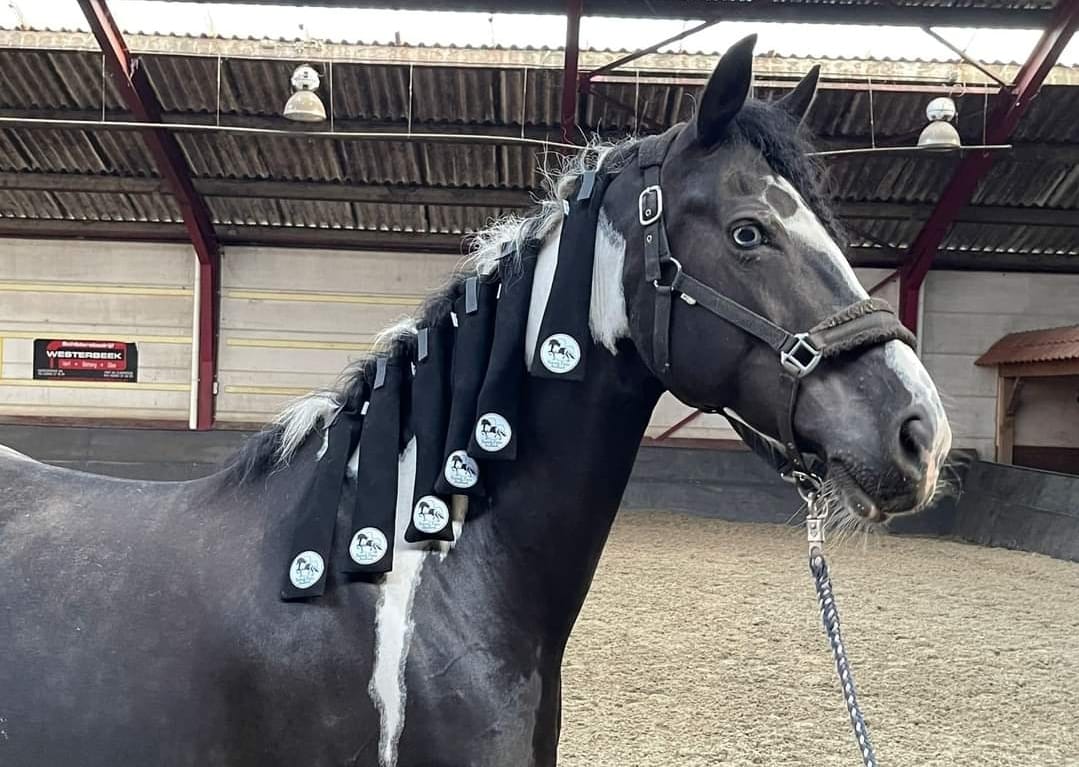 Mane protector bag - Barock Pinto Version