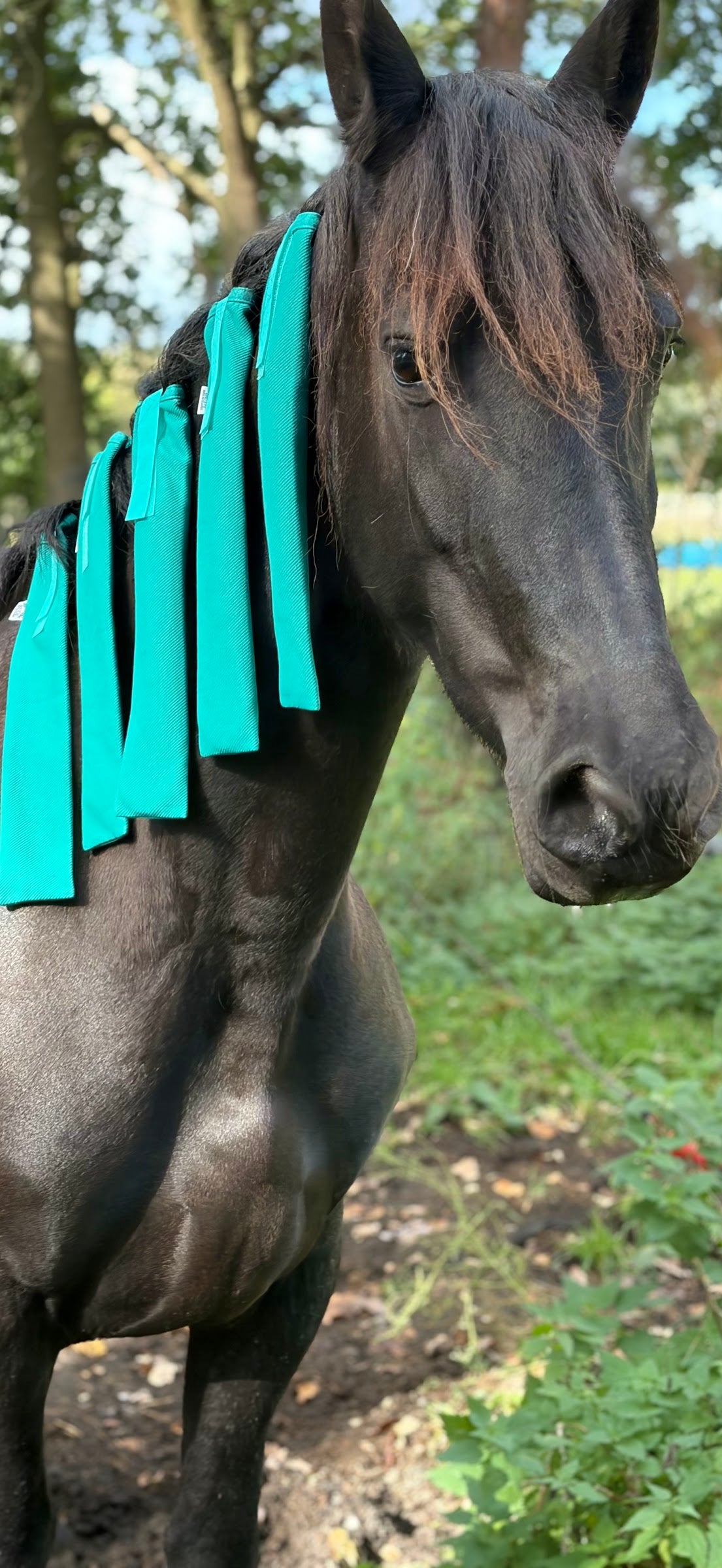 BUDI manenzakjes in Ocean Teal