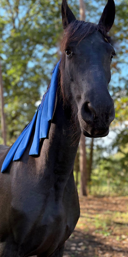 BUDI manenzakjes in Royal blue