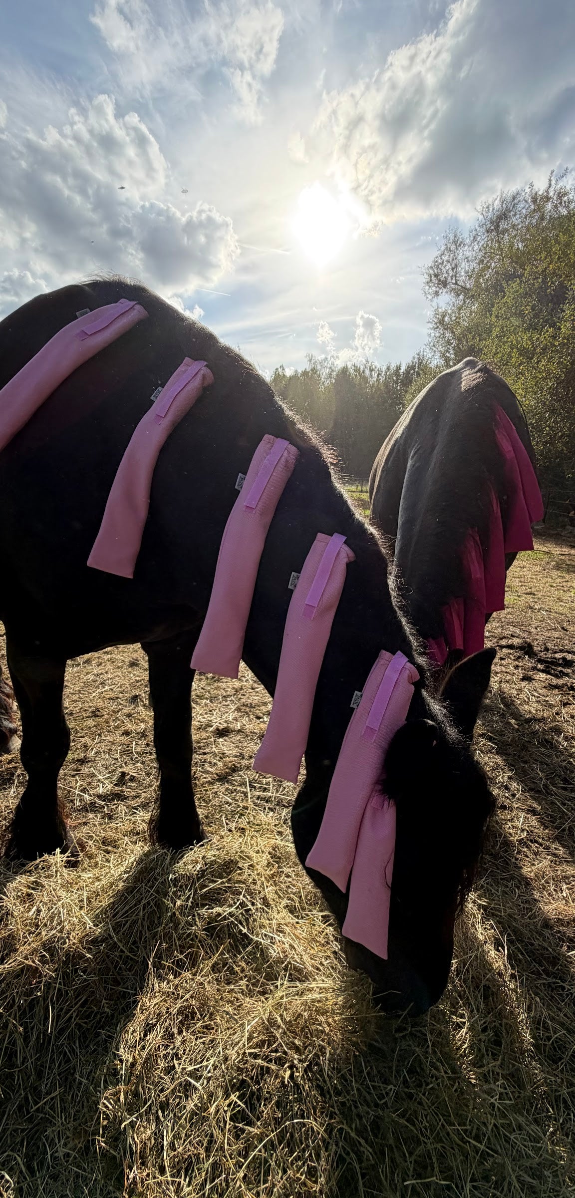 BUDI manenzakjes in Baby pink